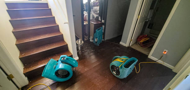 Best Water damage contractors near me  in Hazard, KY