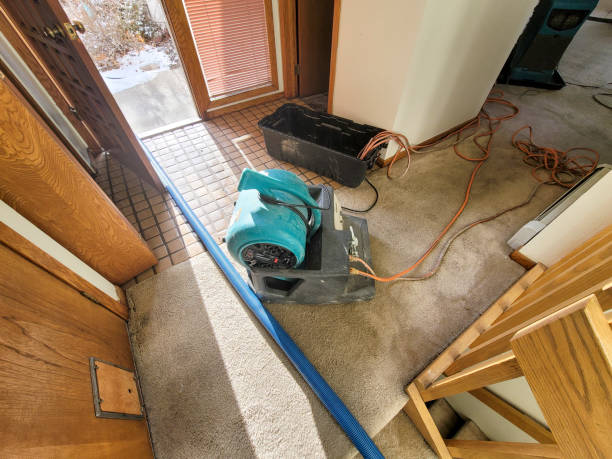 Best Residential water damage restoration  in Hazard, KY
