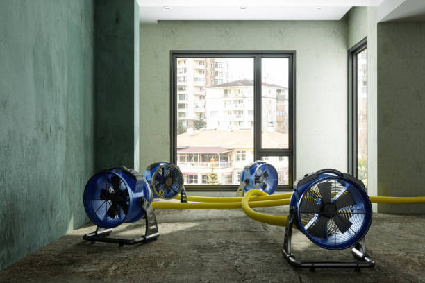Best Water damage restoration experts  in Hazard, KY