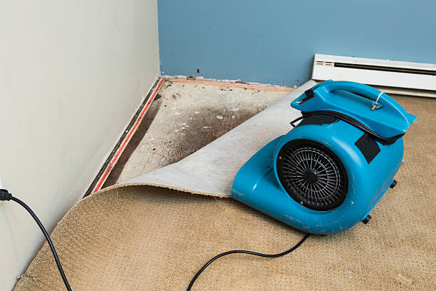 Best 24-hour water damage restoration  in Hazard, KY